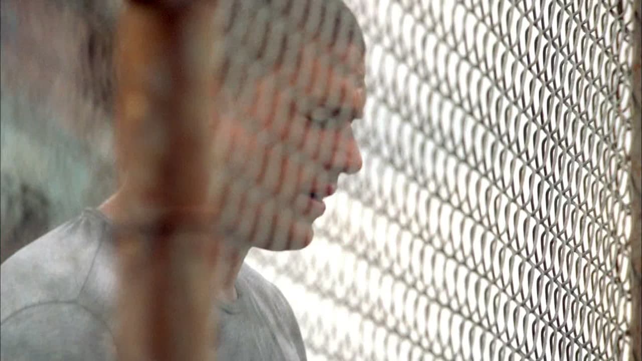 Prison Break - Season 3 Episode 6 : Photo Finish