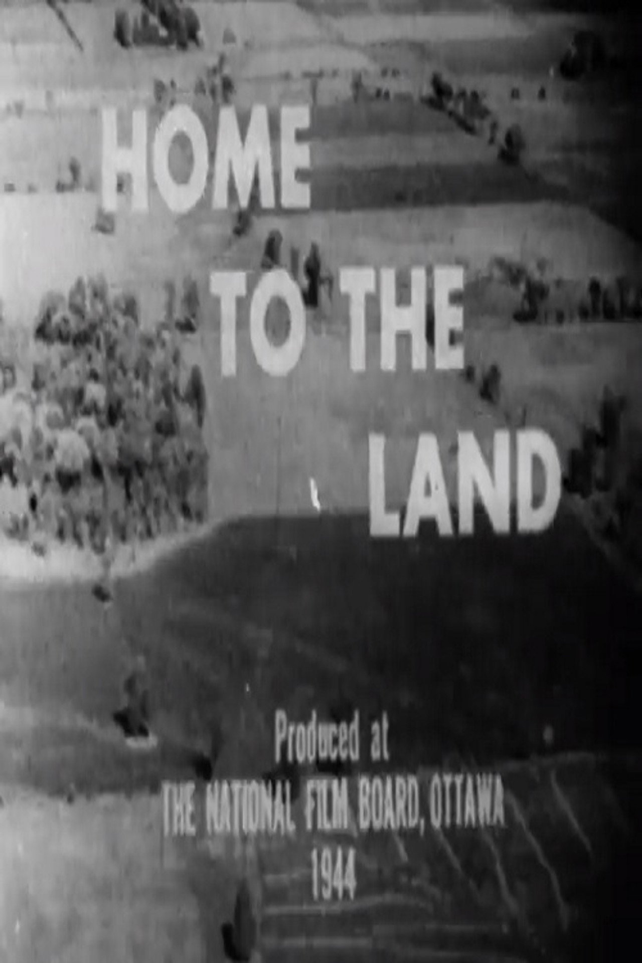 Home to the Land filmaffisch