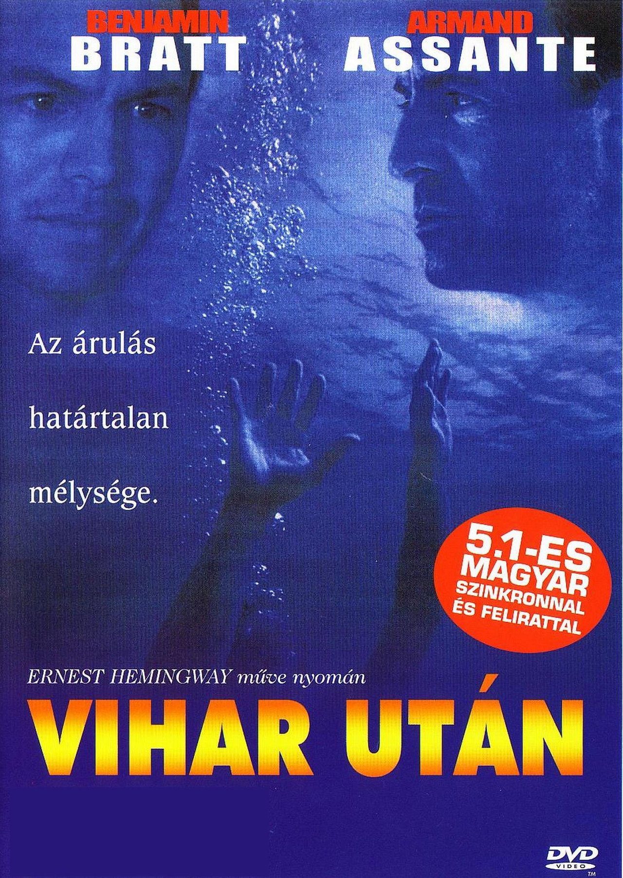 Vihar után – plakát 6