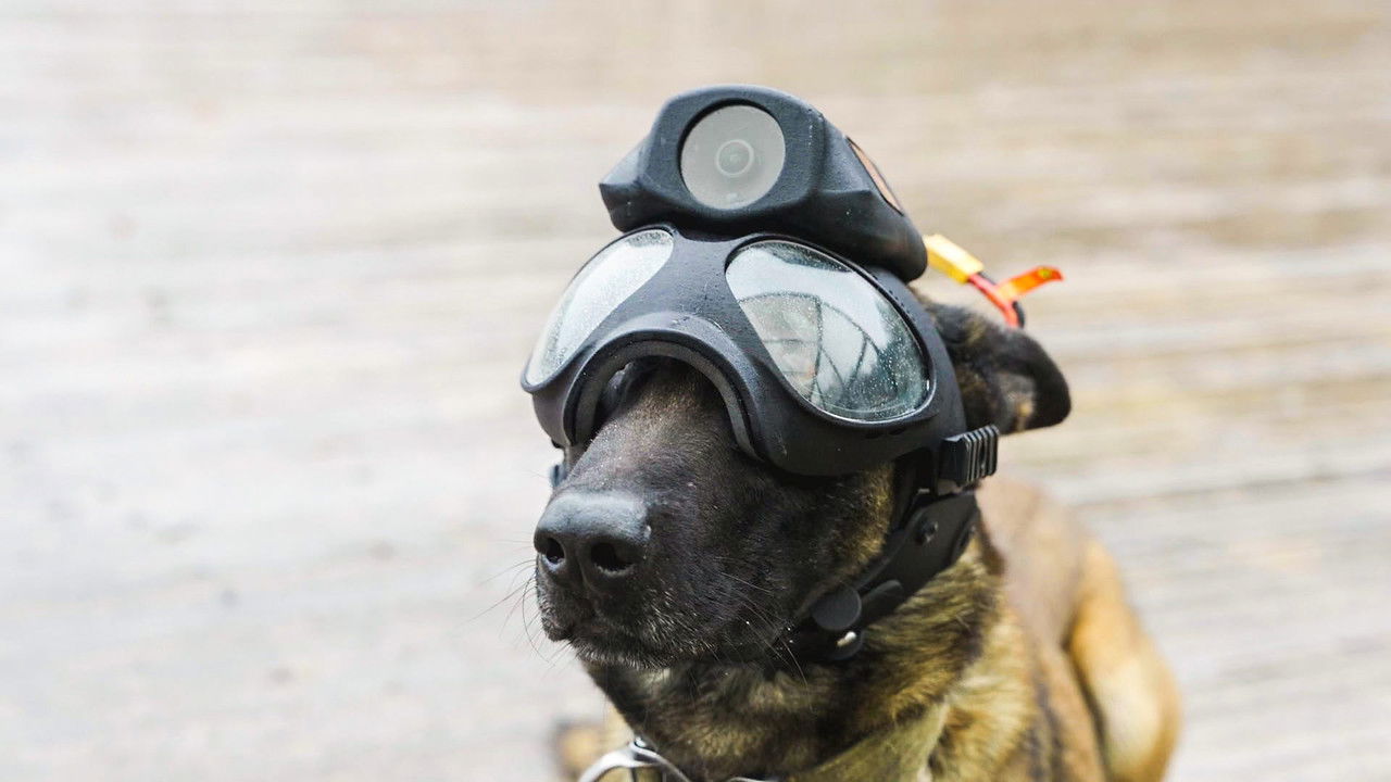 Frontline Fightback — Épisode 1