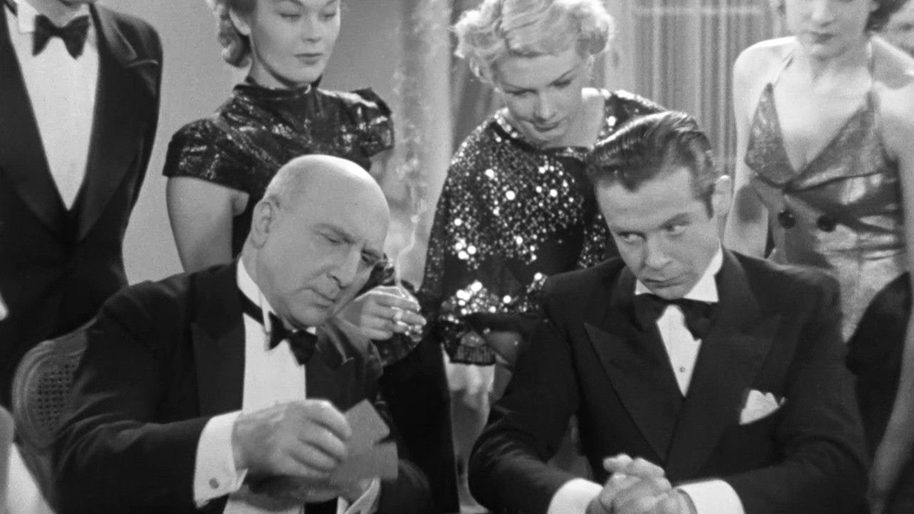 Mister Flow backdrop