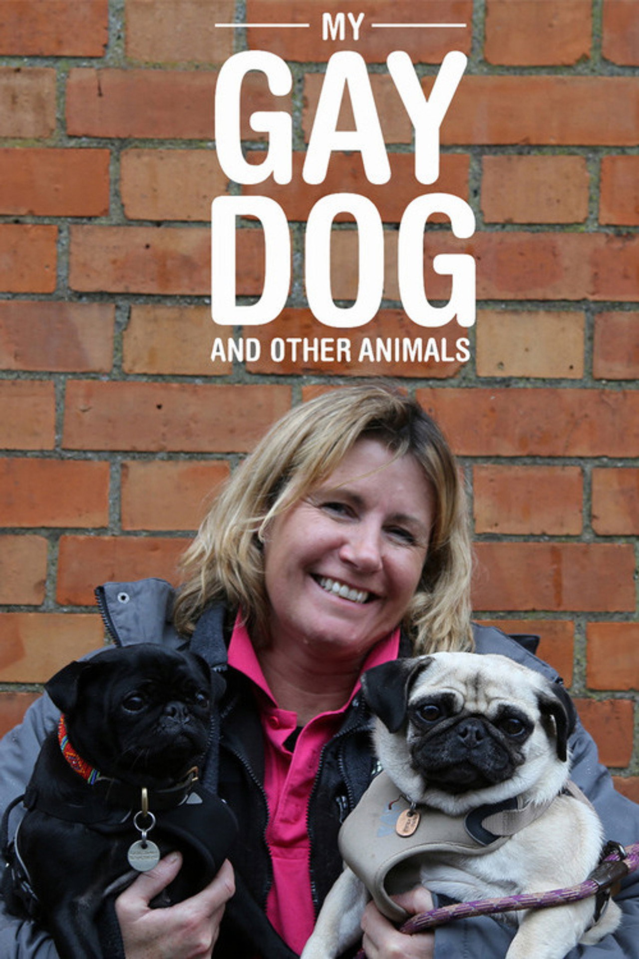 My Gay Dog and Other Animals filmaffisch