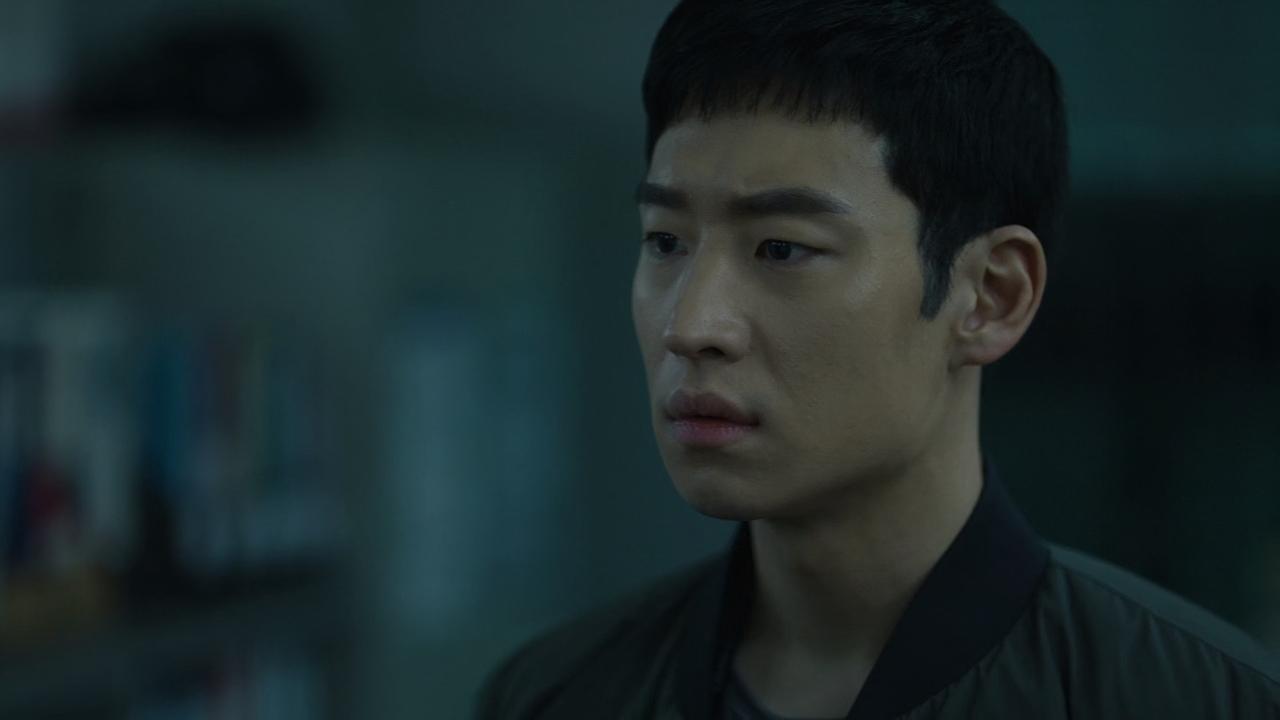 Image Signal (2016)