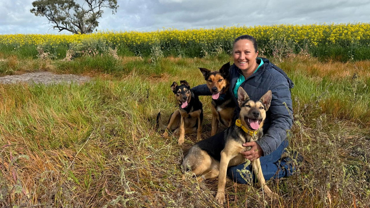 Muster Dogs: Where Are They Now — Épisode 3