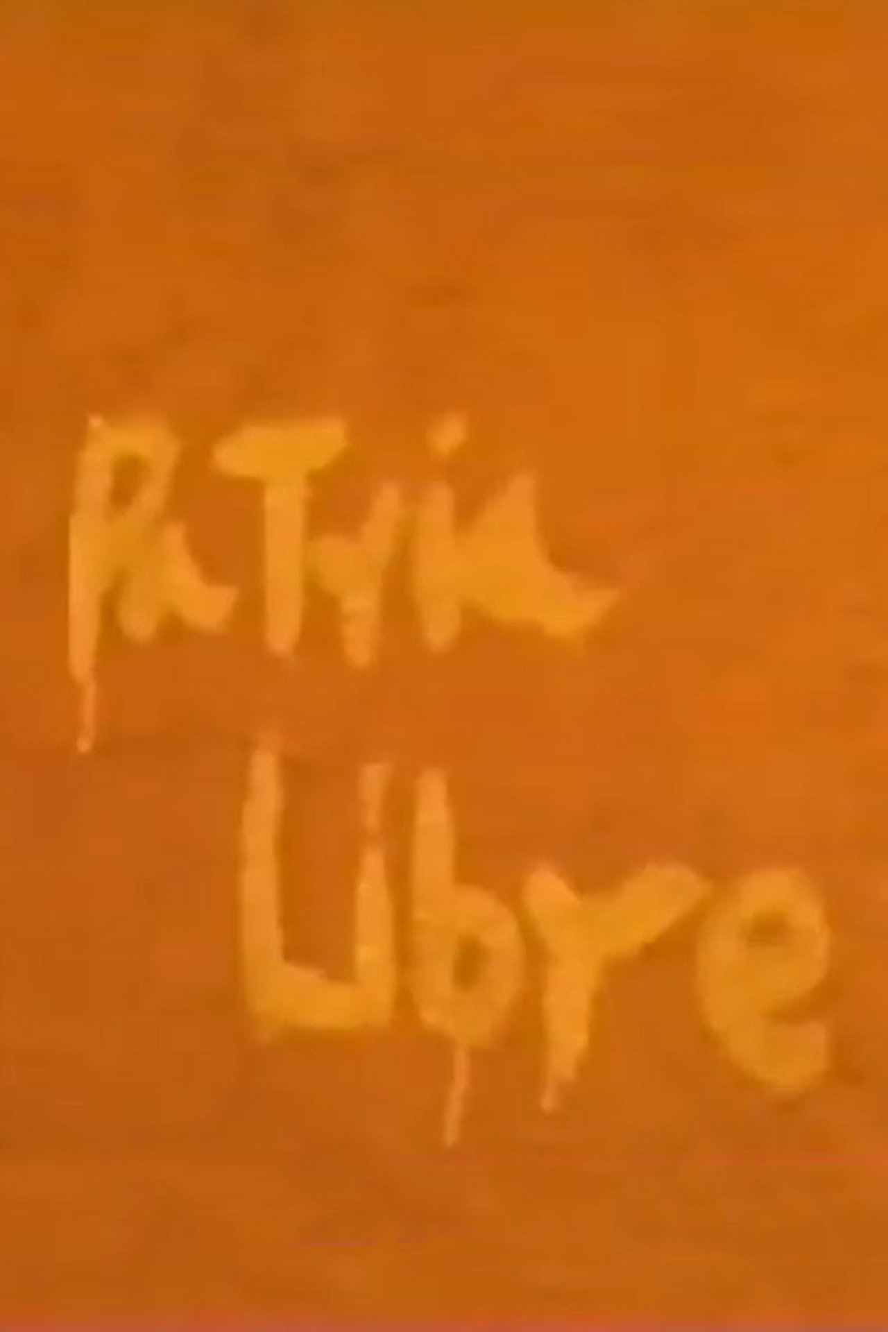 Patria Libre filmaffisch