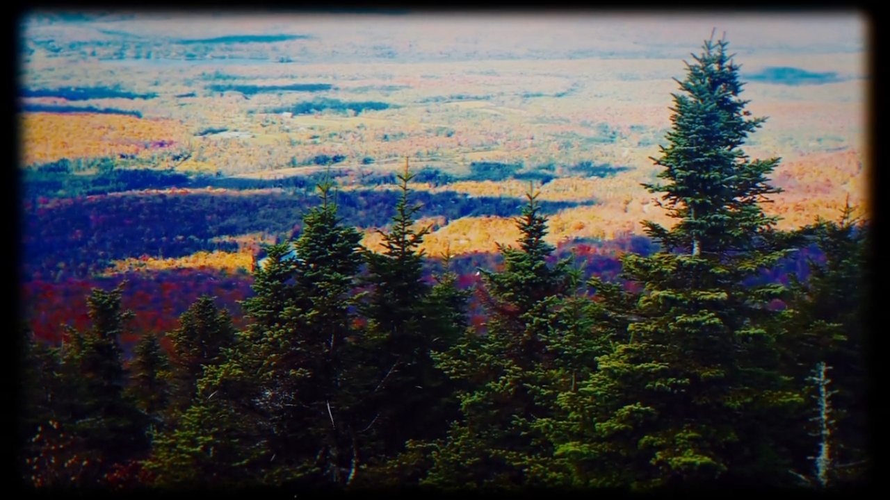 title image