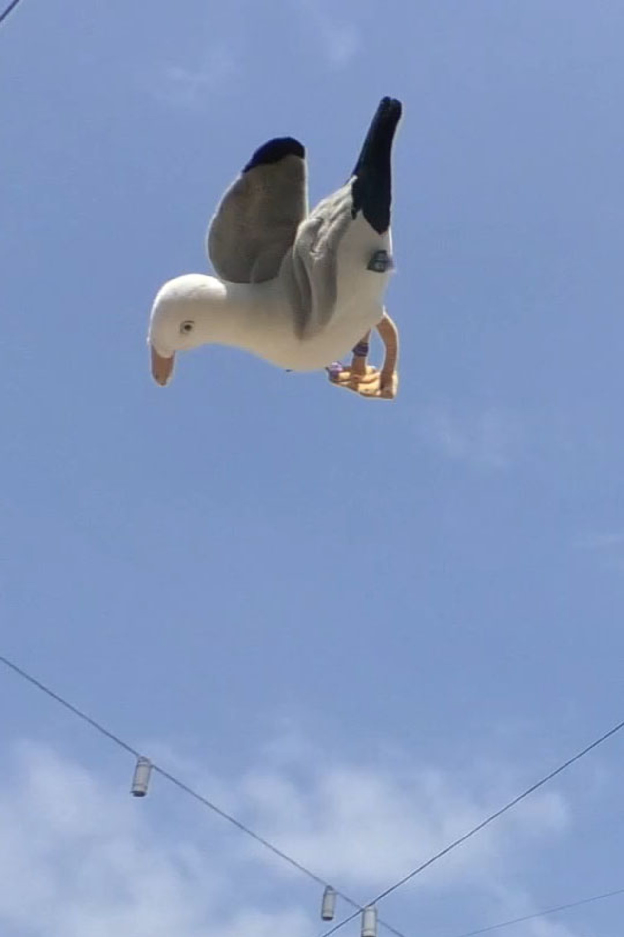 Double Jump Backdrop