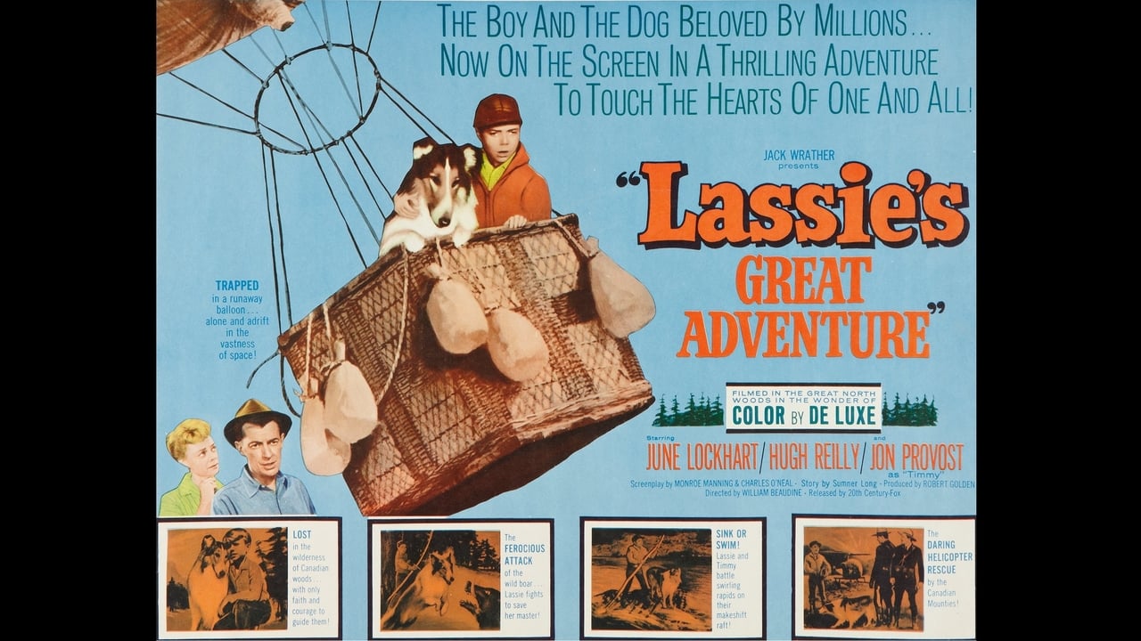 Scen från Lassie's Great Adventure