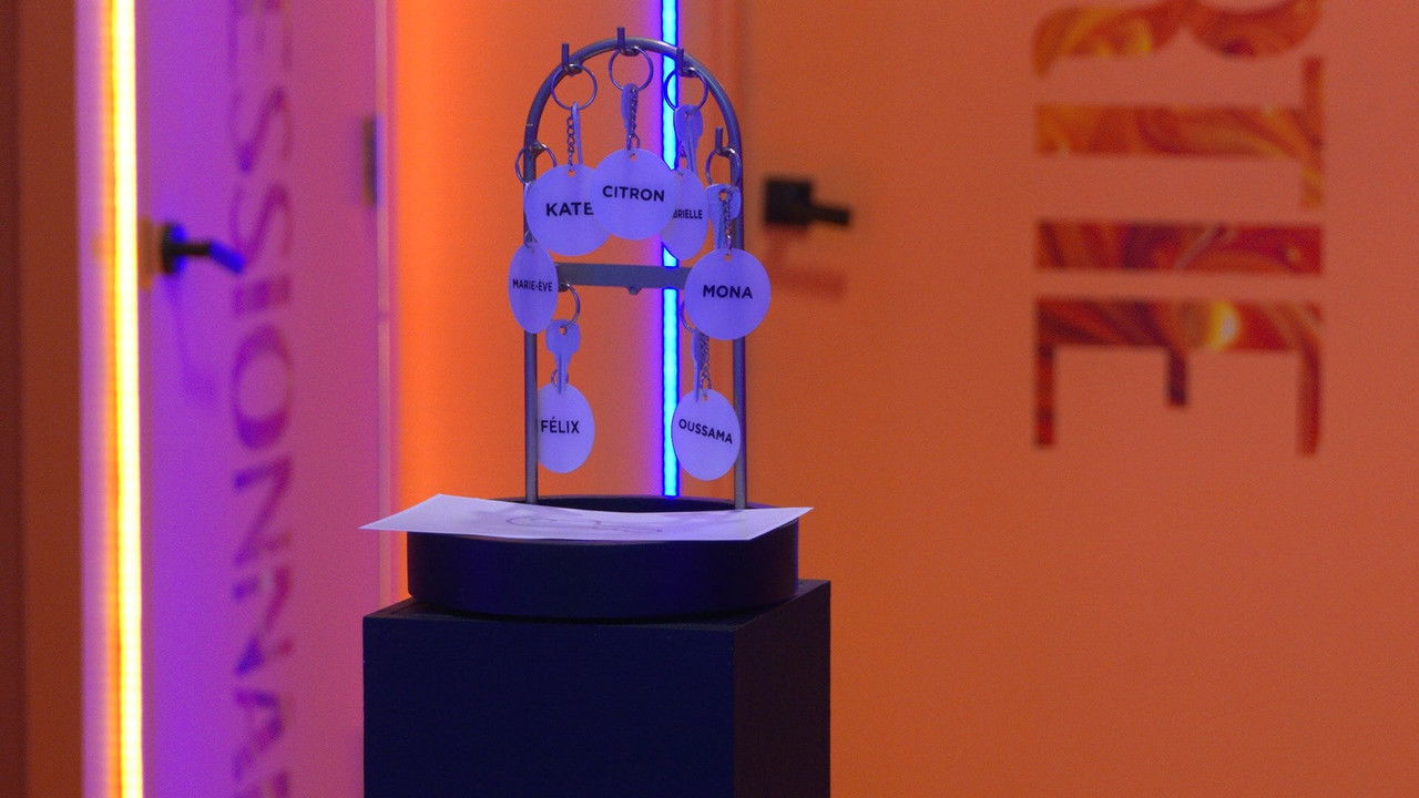 Big Brother Célébrités — Épisode 49