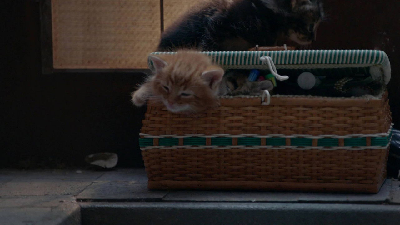 Poesjes — Épisode 1