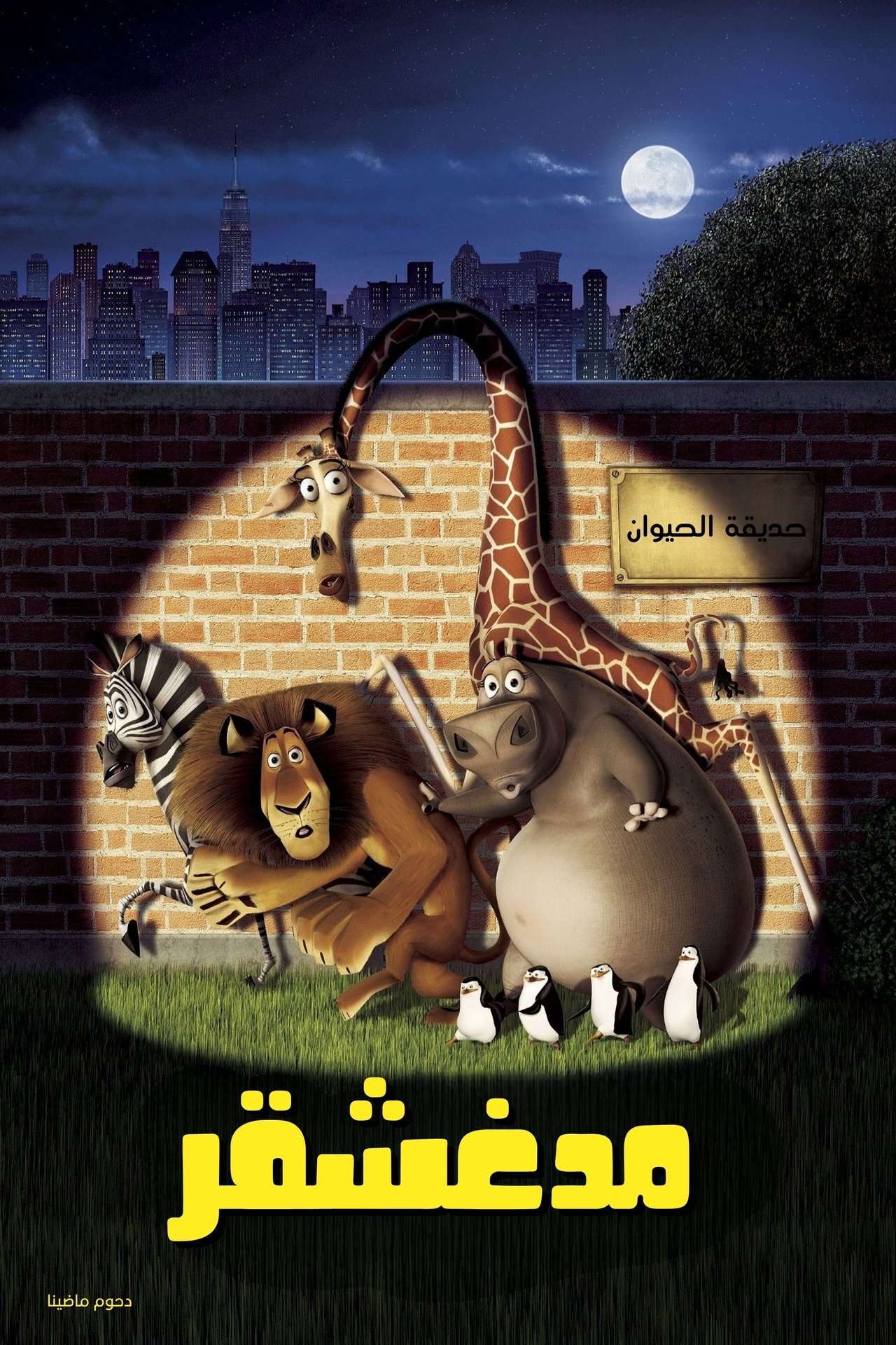 مشاهدة فيلم Madagascar مترجم بدون اعلانات - بوستر