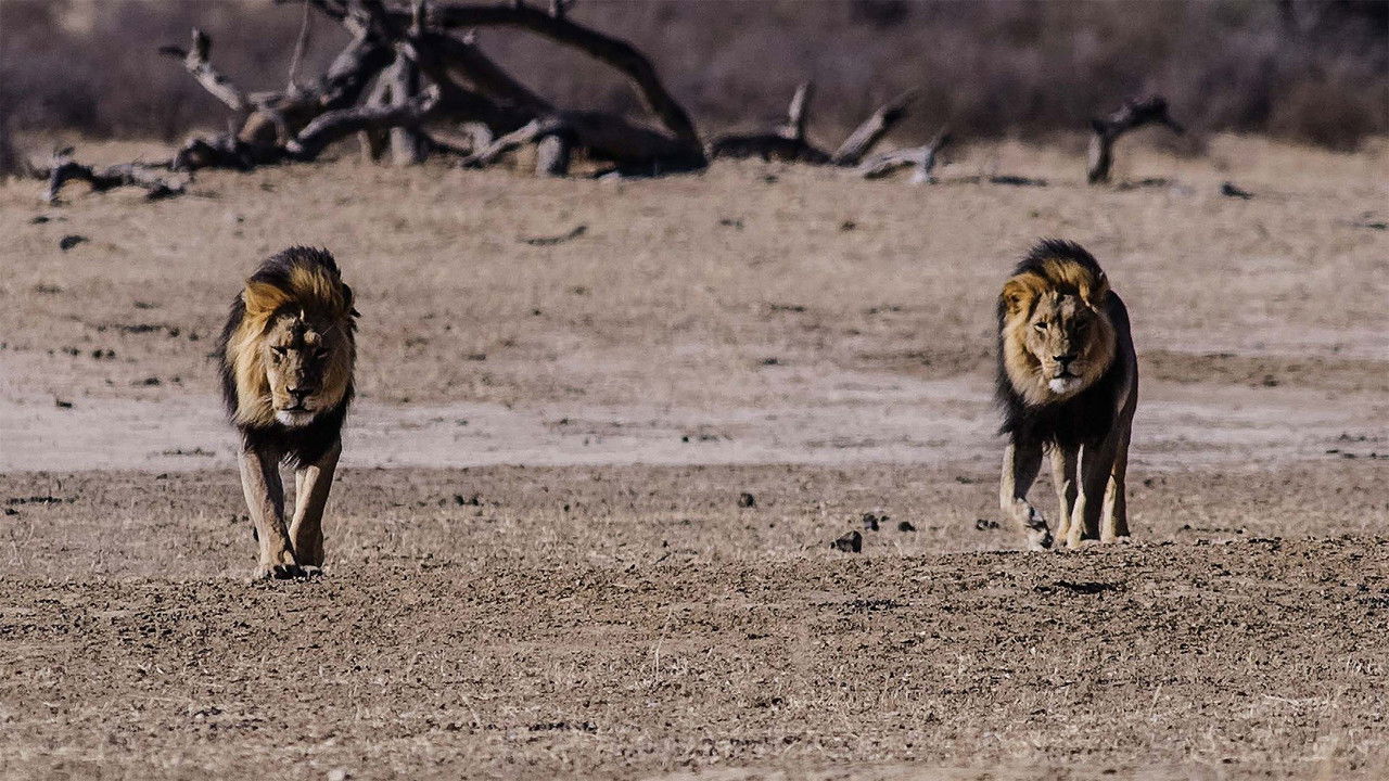 Africa's Deadly Kingdoms — Épisode 6