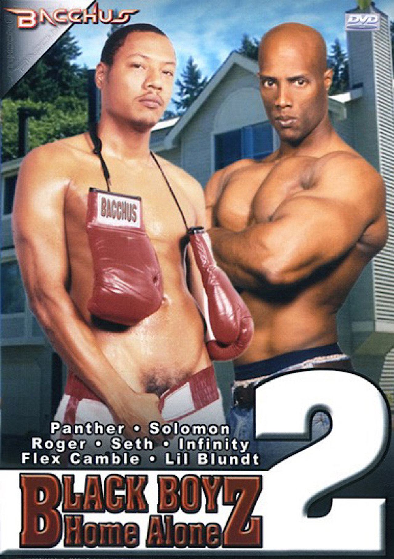 Black Boyz Home Alone 2 filmaffisch