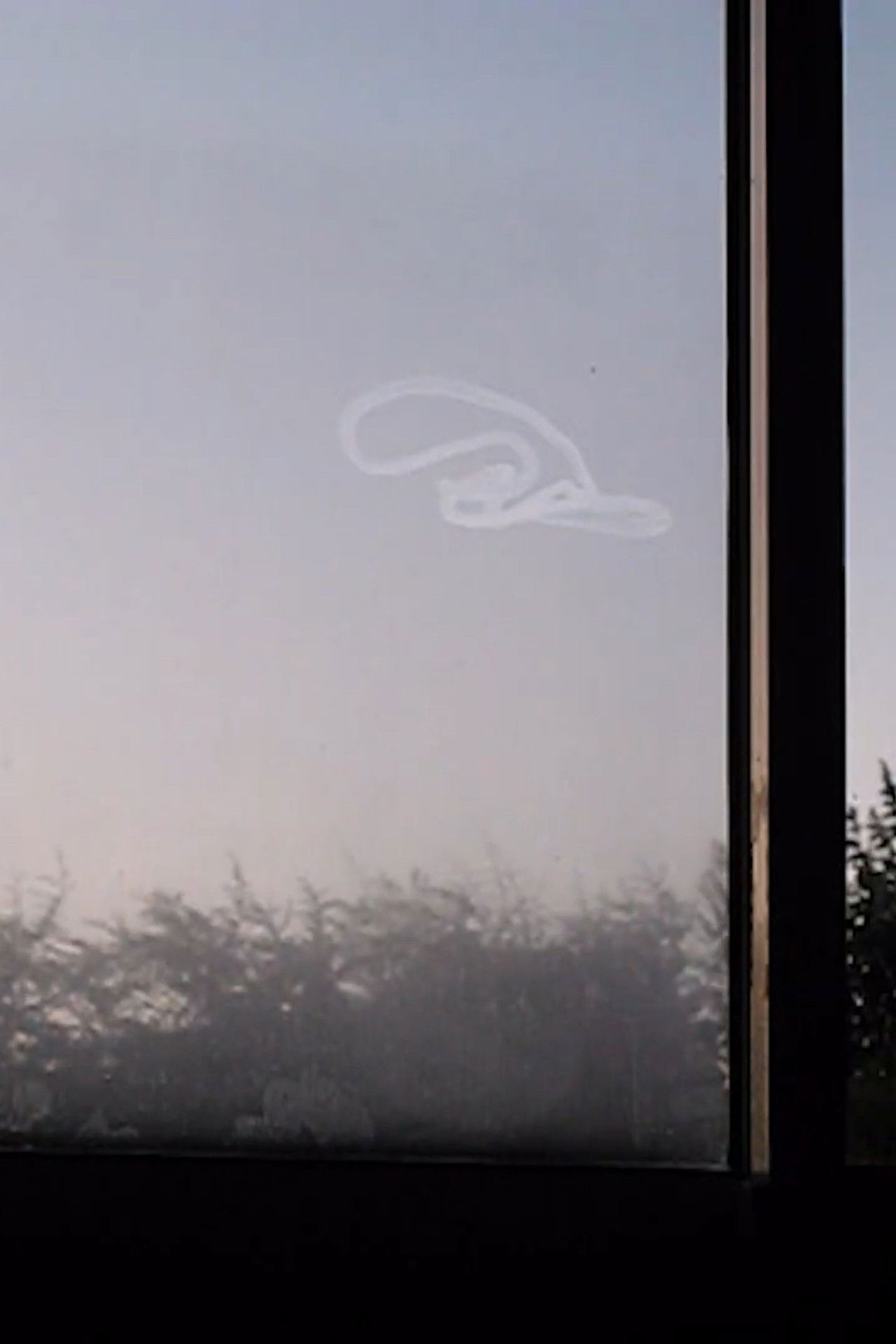 Conte d'hiver Backdrop