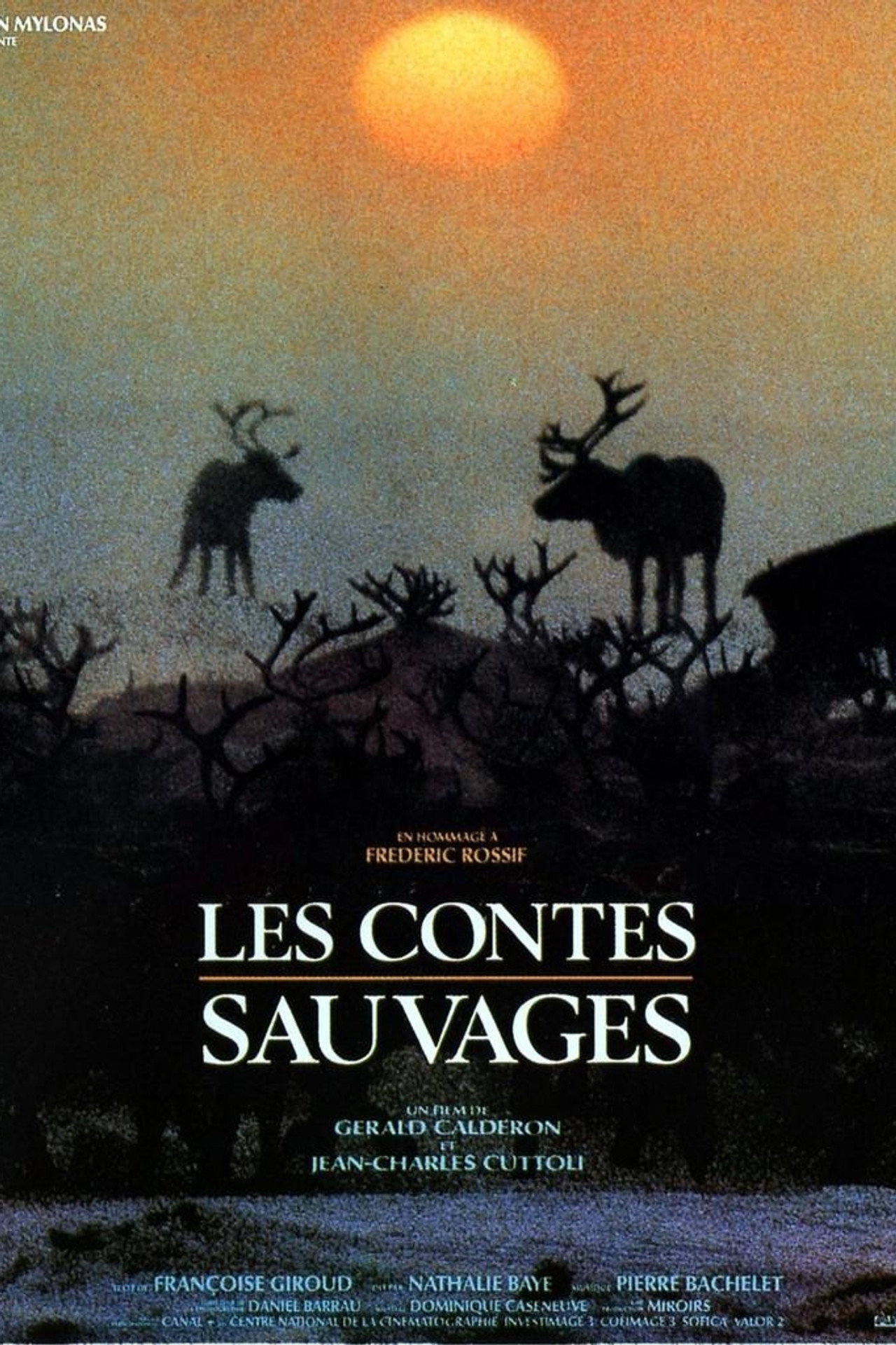 Les contes sauvages