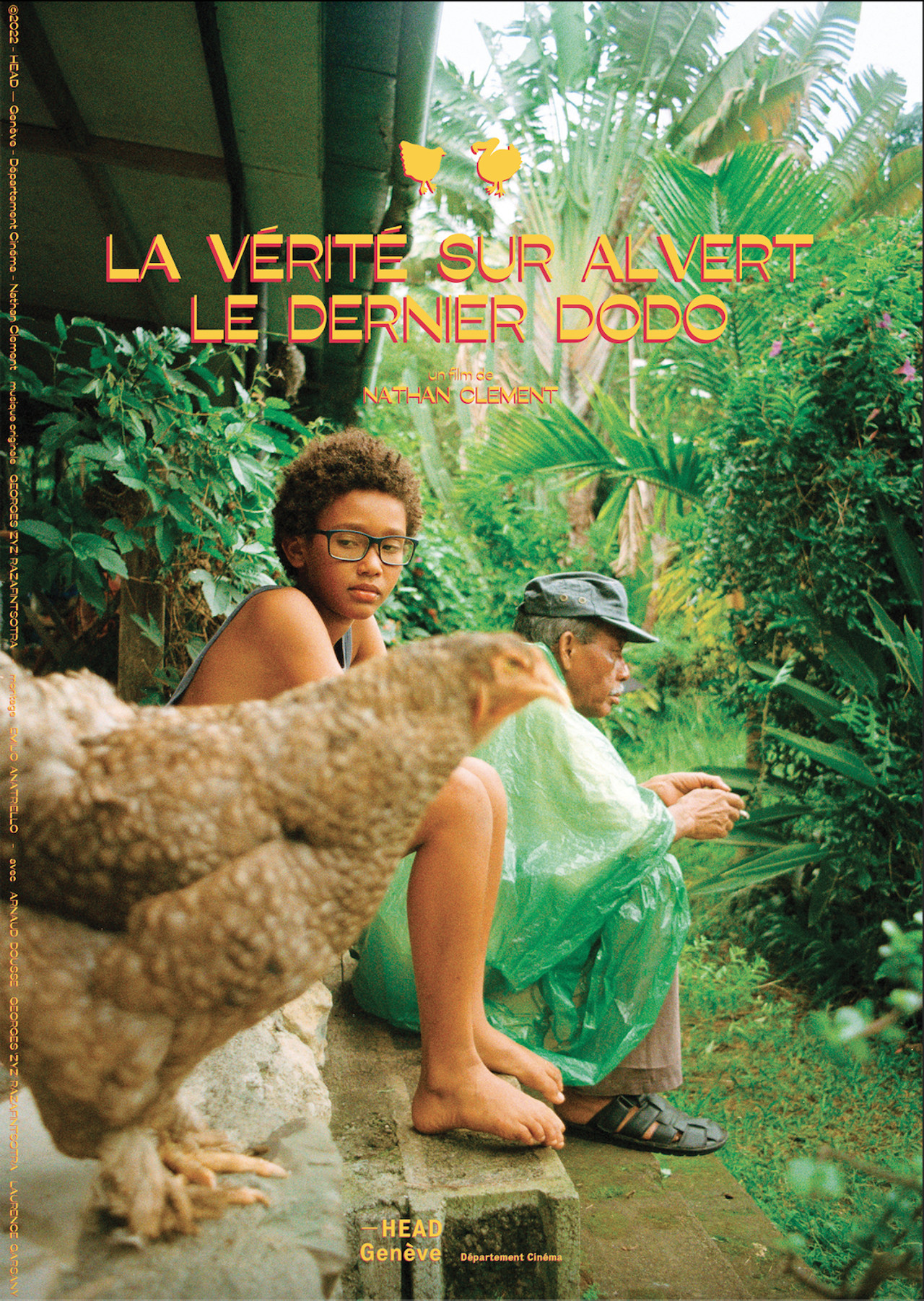 La Vérité sur Alvert le dernier dodo filmaffisch