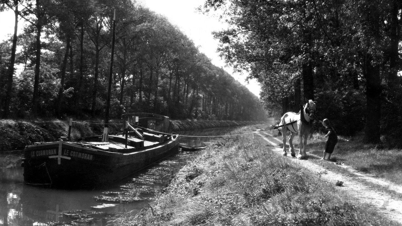 The Beautiful Sailor backdrop