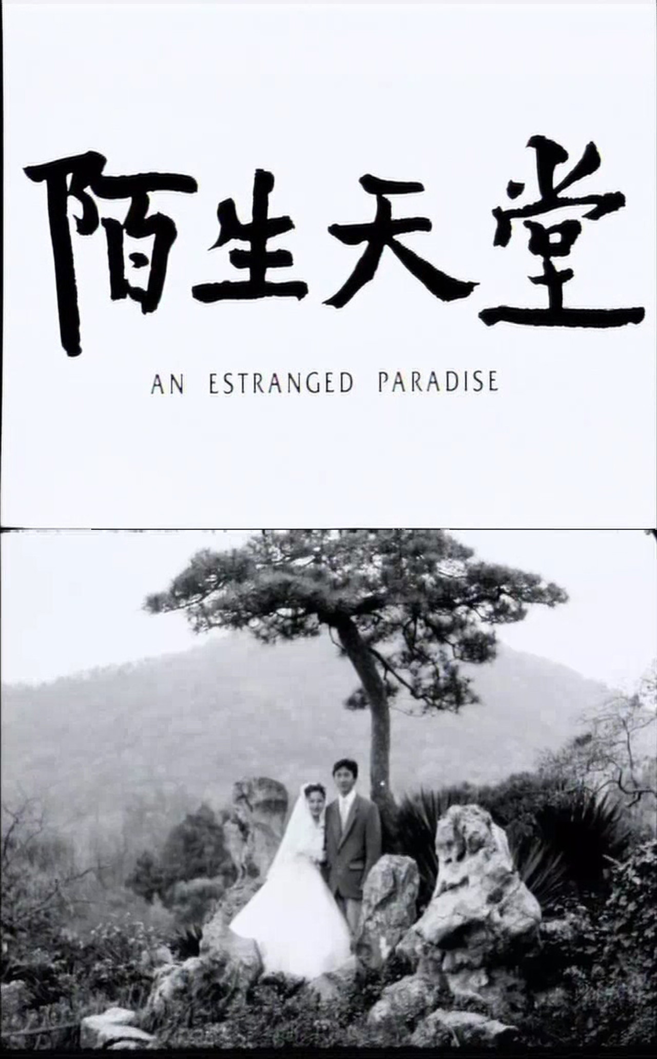 陌生天堂 filmaffisch