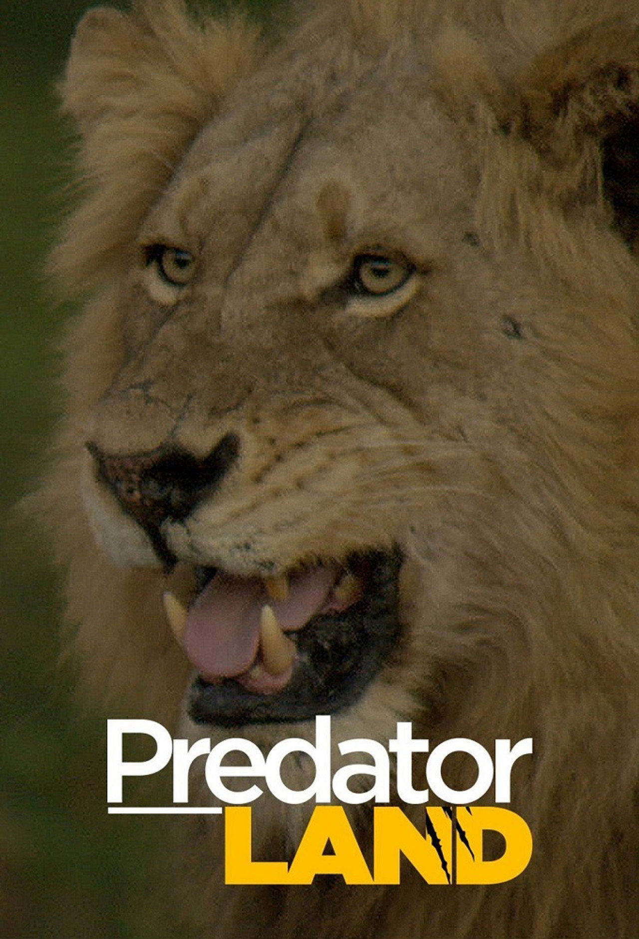 Predator Land affisch