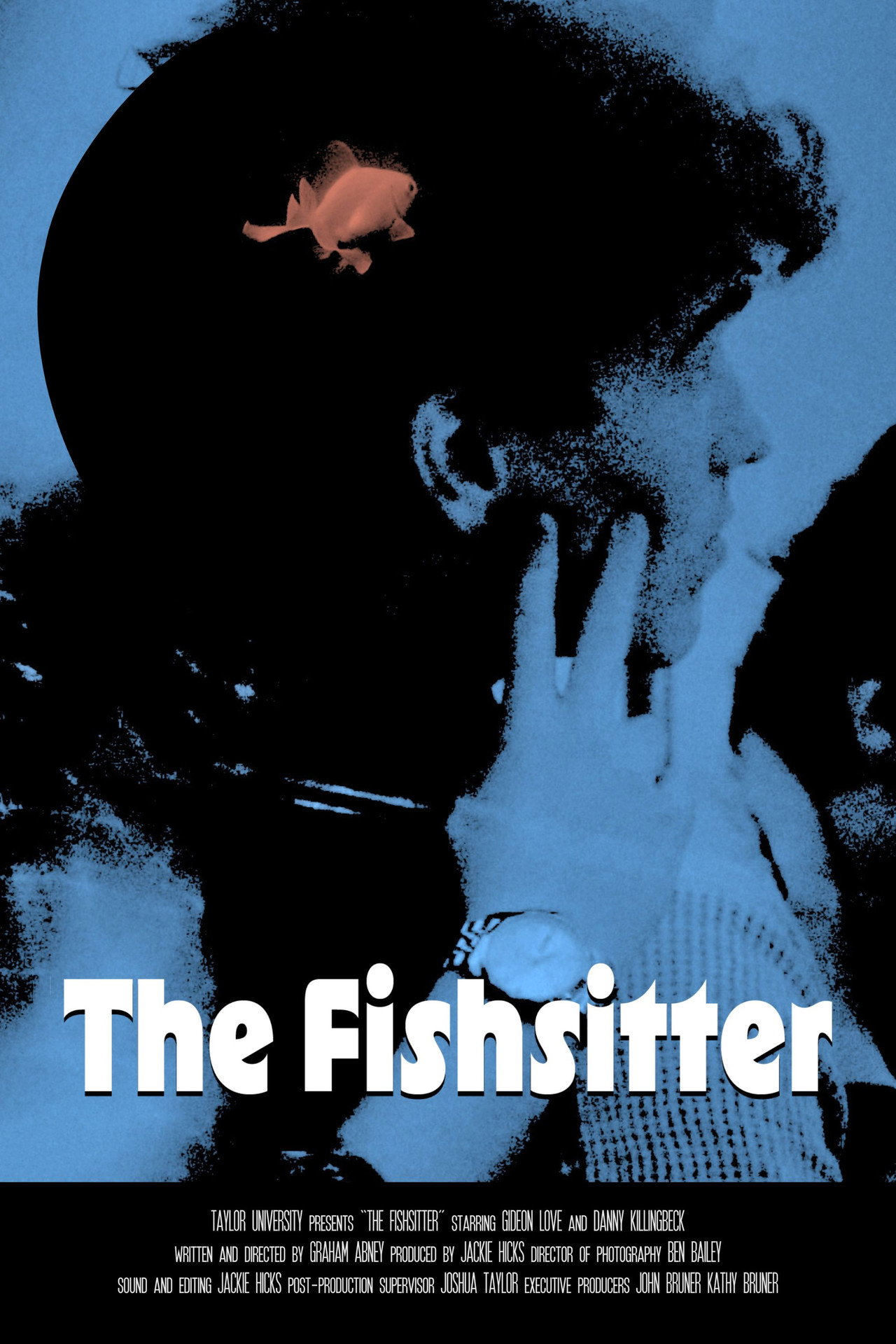 The Fishsitter