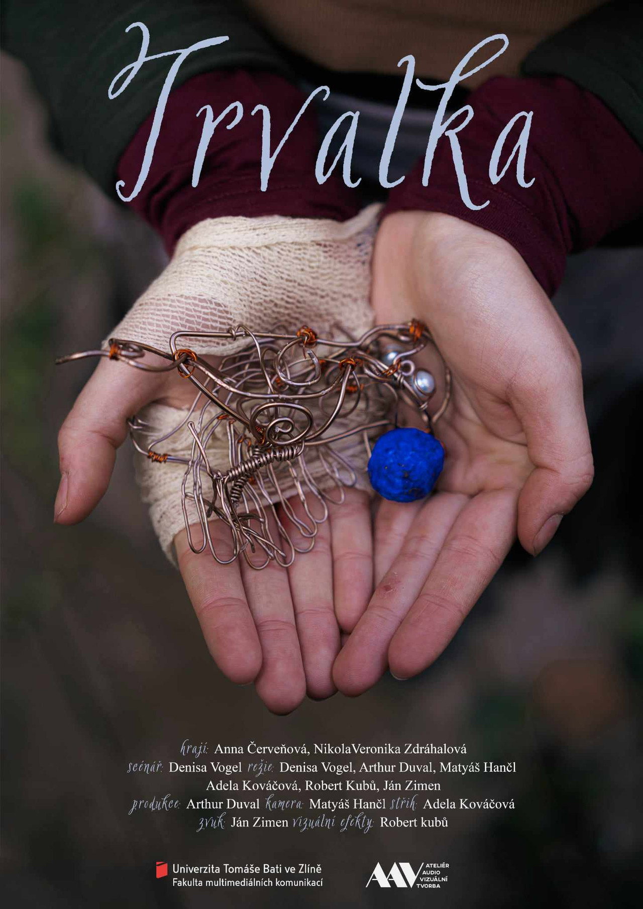 Trvalka filmaffisch