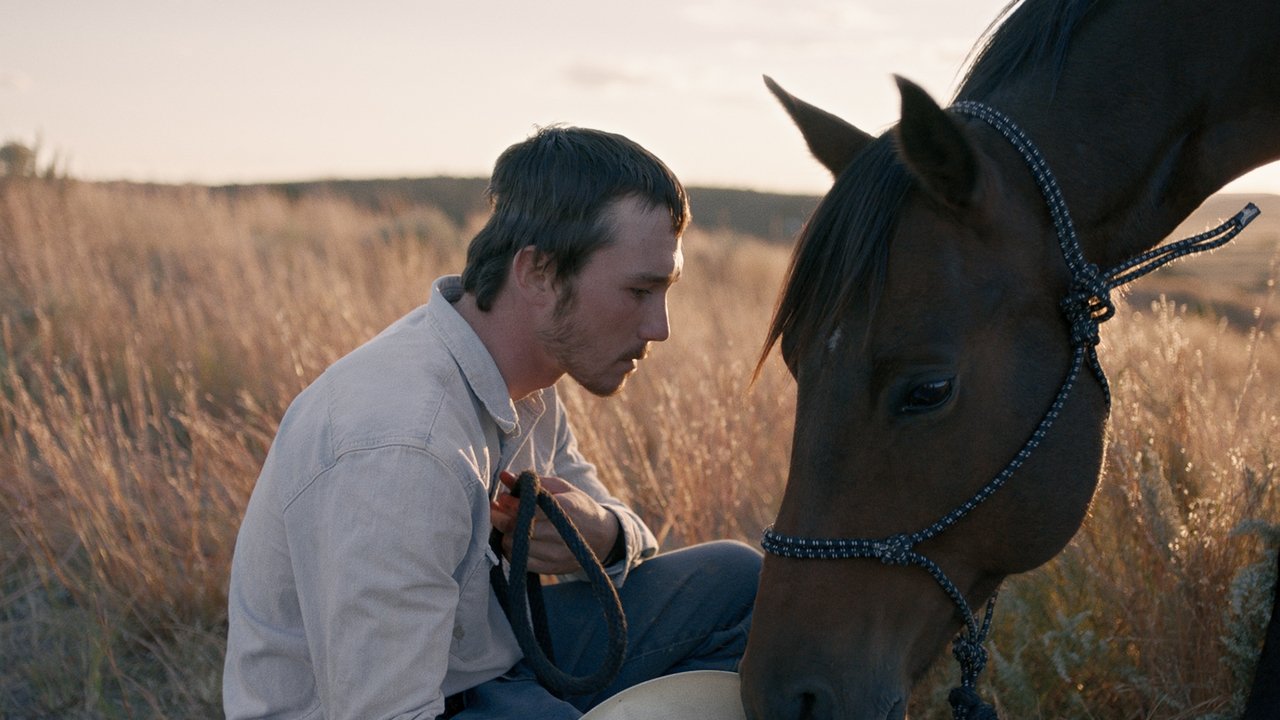 The Rider (2017)