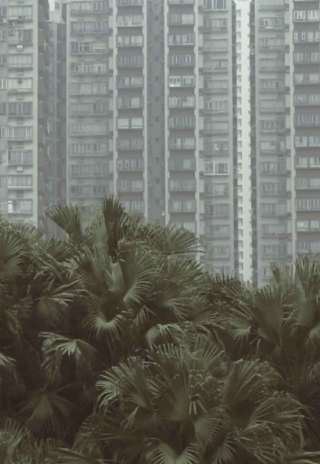 South Horizons filmaffisch