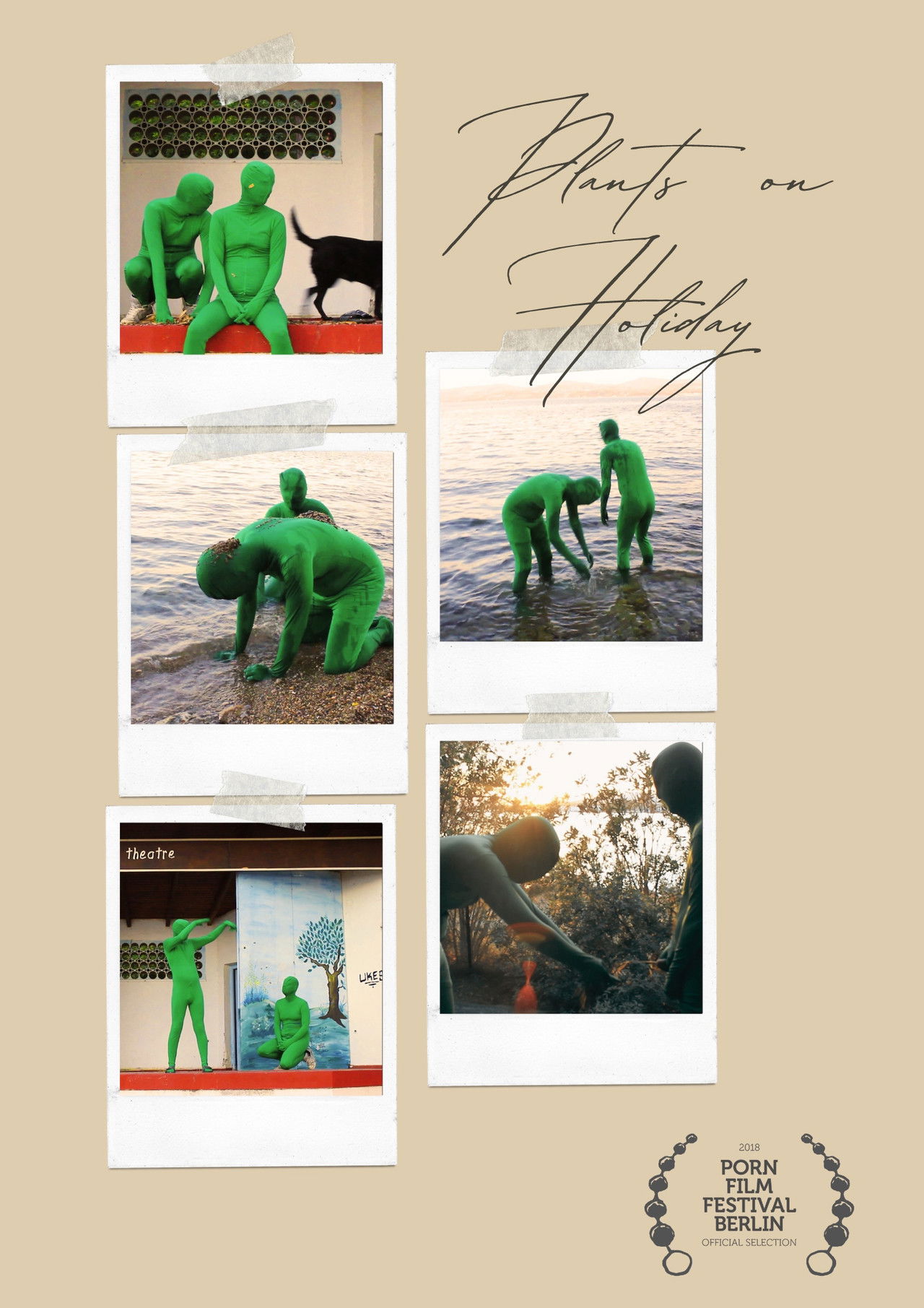 Plants on Holiday Backdrop