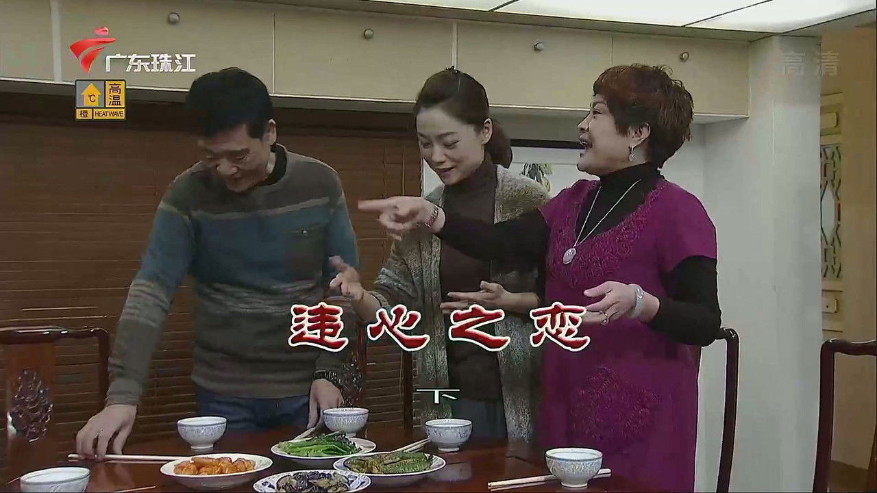 外来媳妇本地郎 — Épisode 3556