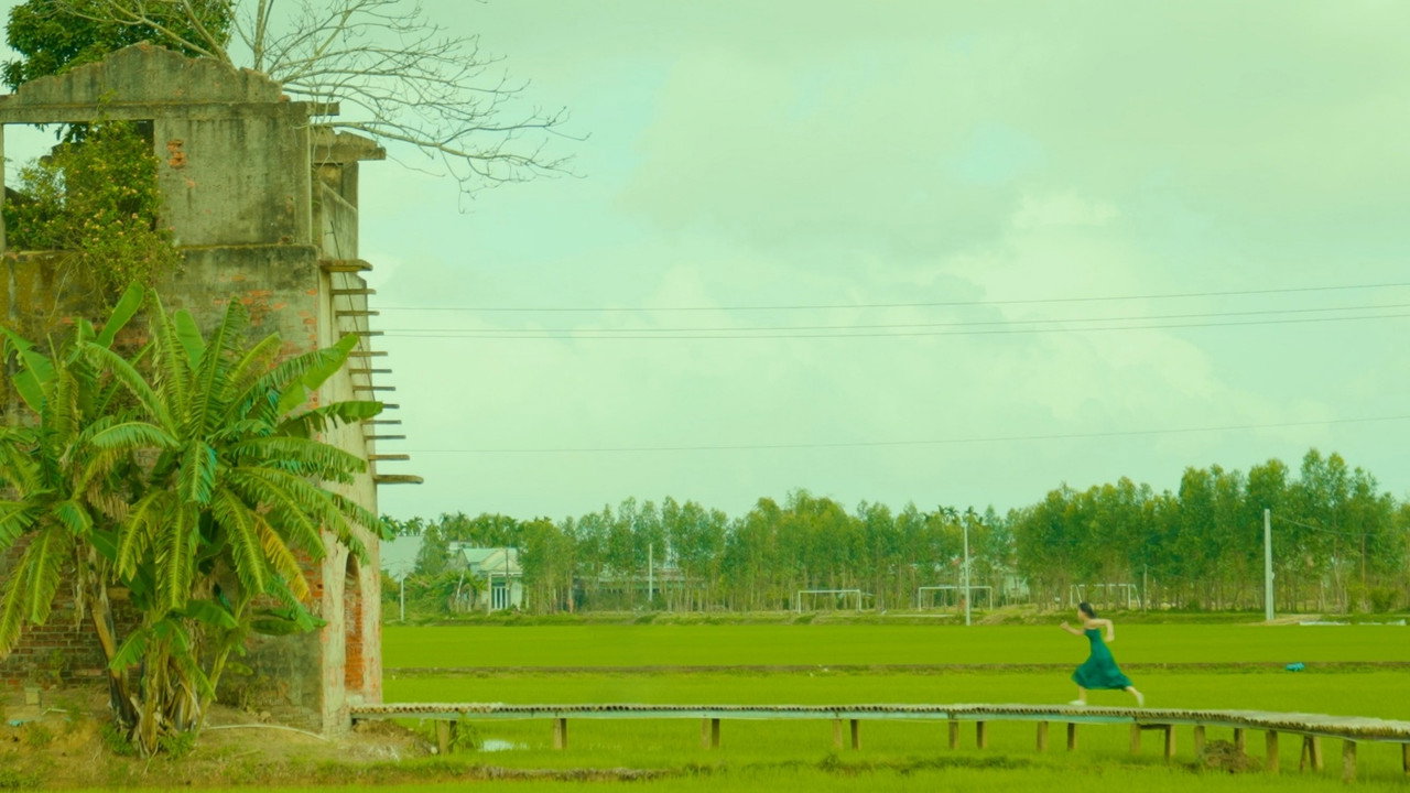 Meet Saybika Backdrop