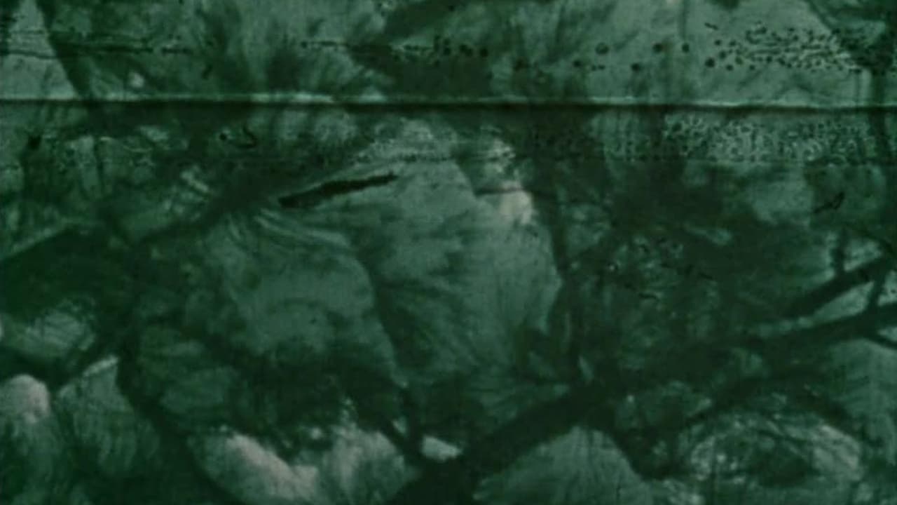 Backdrop for Dog Star Man: Part II