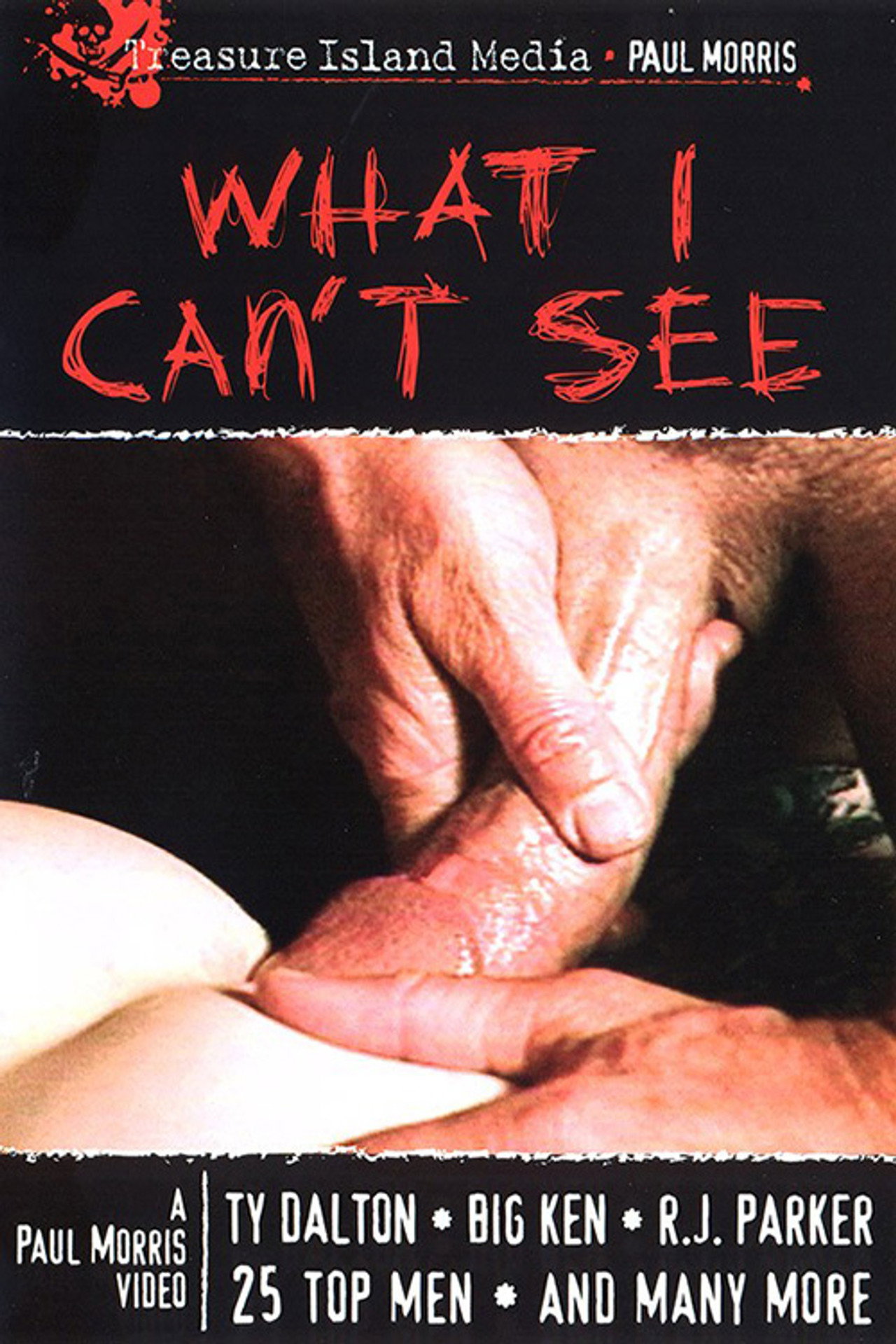 What I Can't See filmaffisch