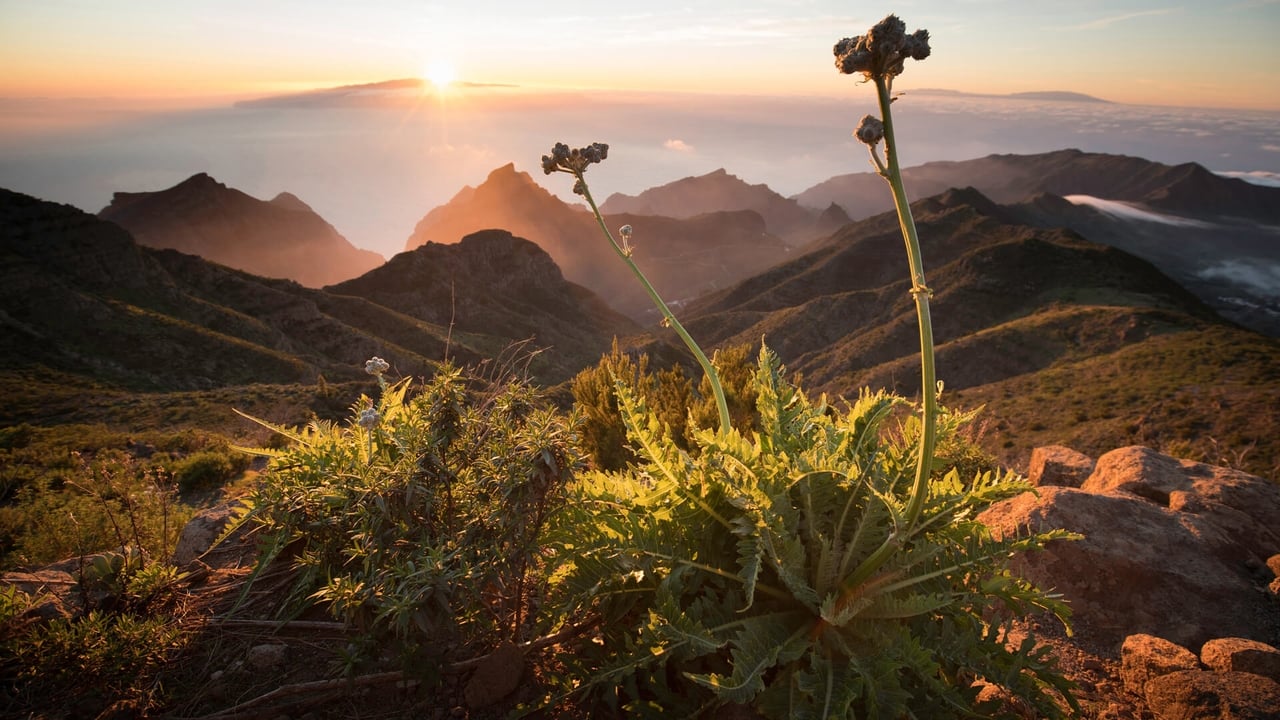 Scen från The Canary Islands