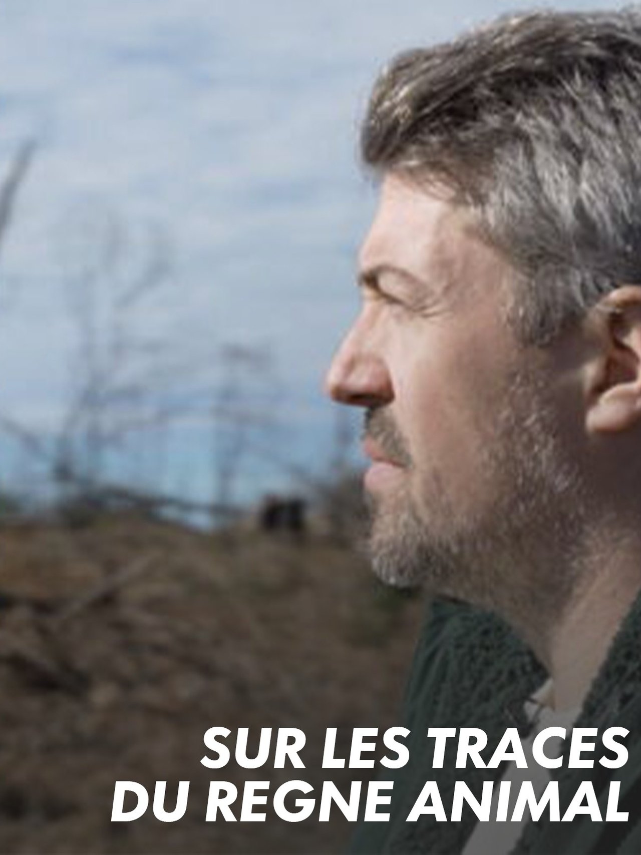 Sur les traces du règne animal poster