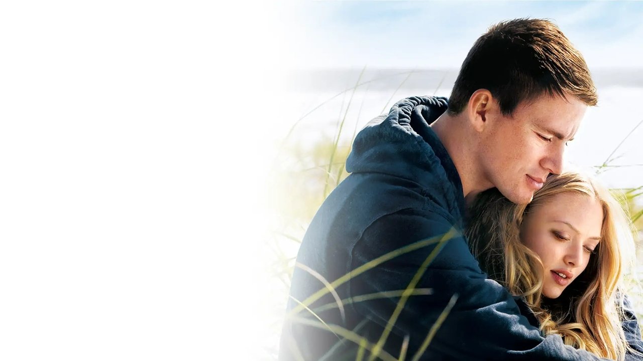 Dear John (2010)