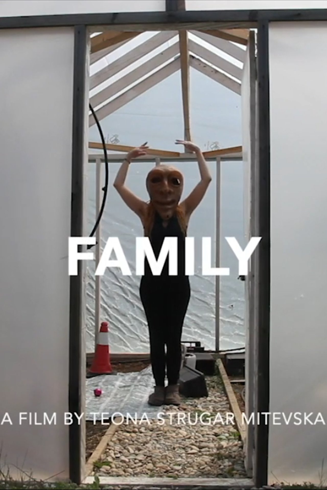 مشاهدة فيلم Family مترجم بدون اعلانات - بوستر