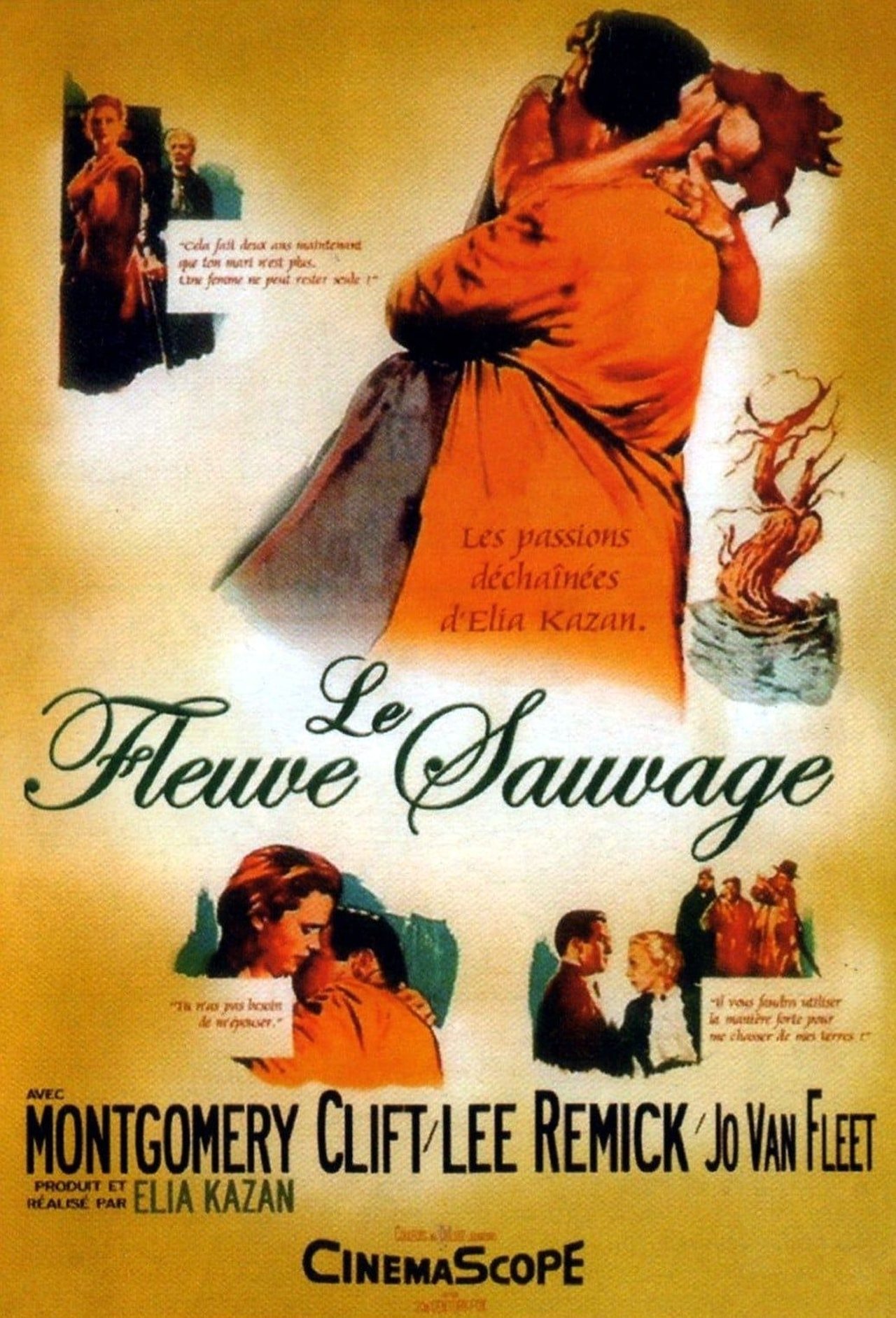 Le Fleuve sauvage poster