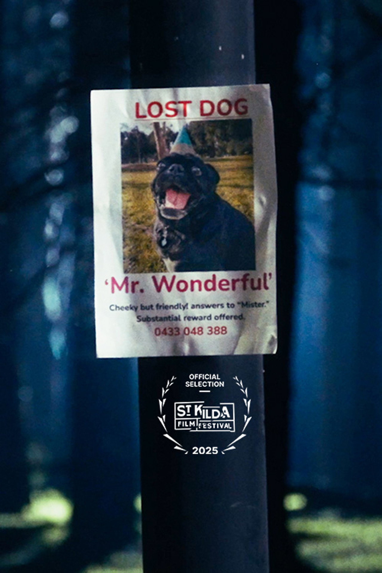 Mr. Wonderful Backdrop