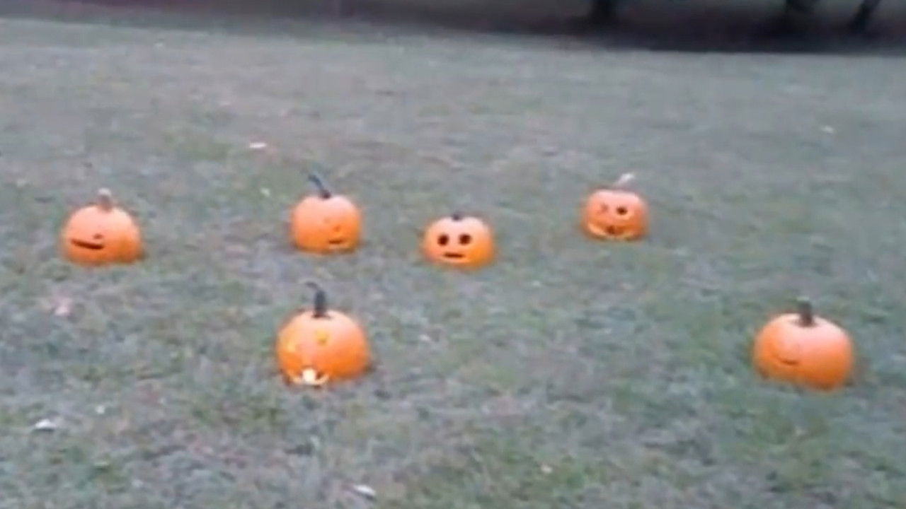 Pumpkins And Their Dark Properties