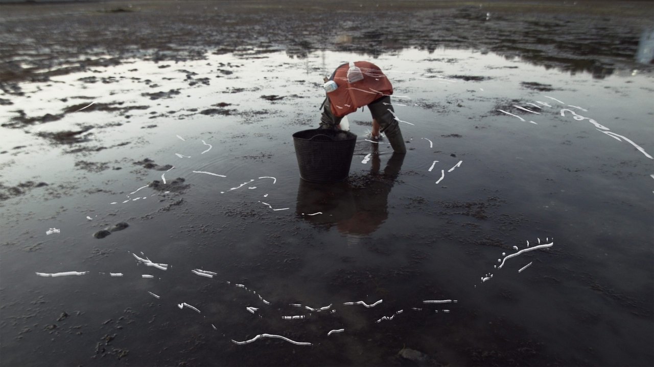 Tattooed on Our Eyes We Carry the Aftertaste