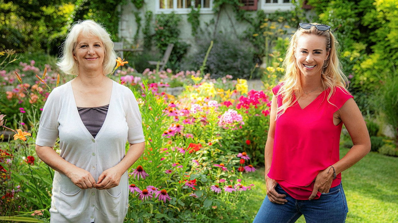 A romantic urban garden