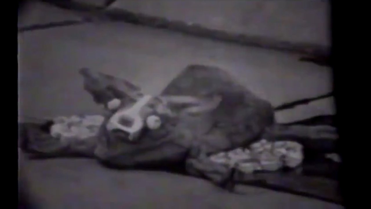 Zombie! vs. Mardi Gras