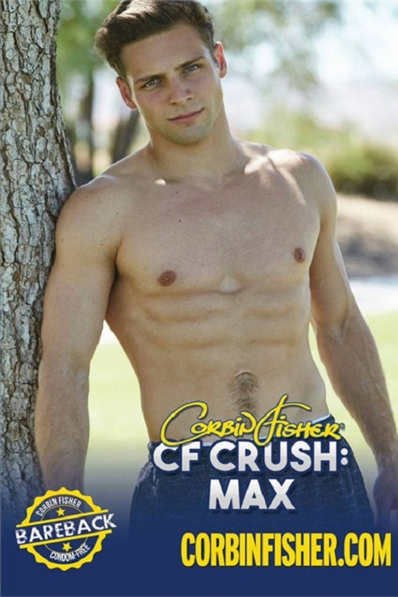 CF Crush: Max Backdrop