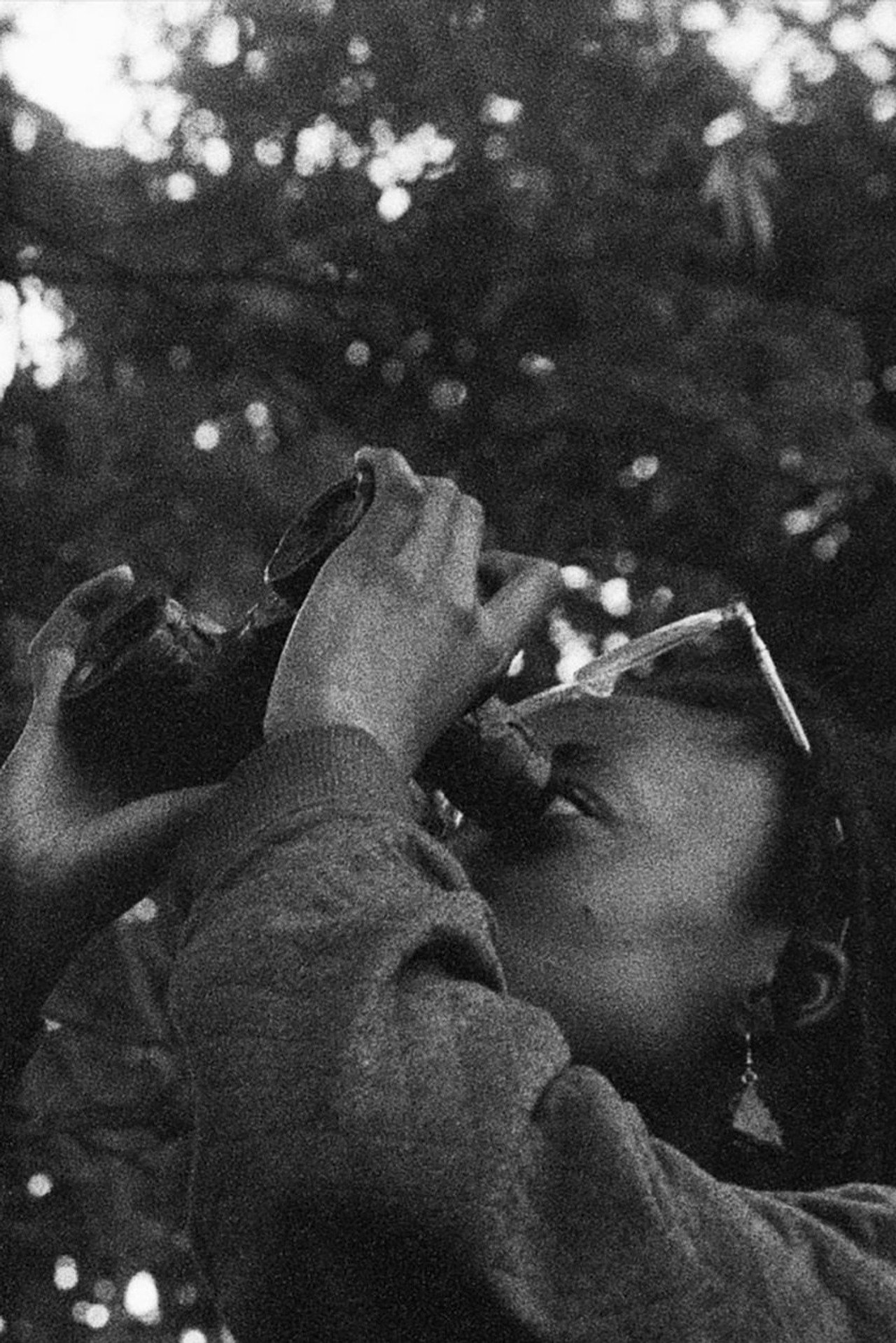 Cardinal filmaffisch
