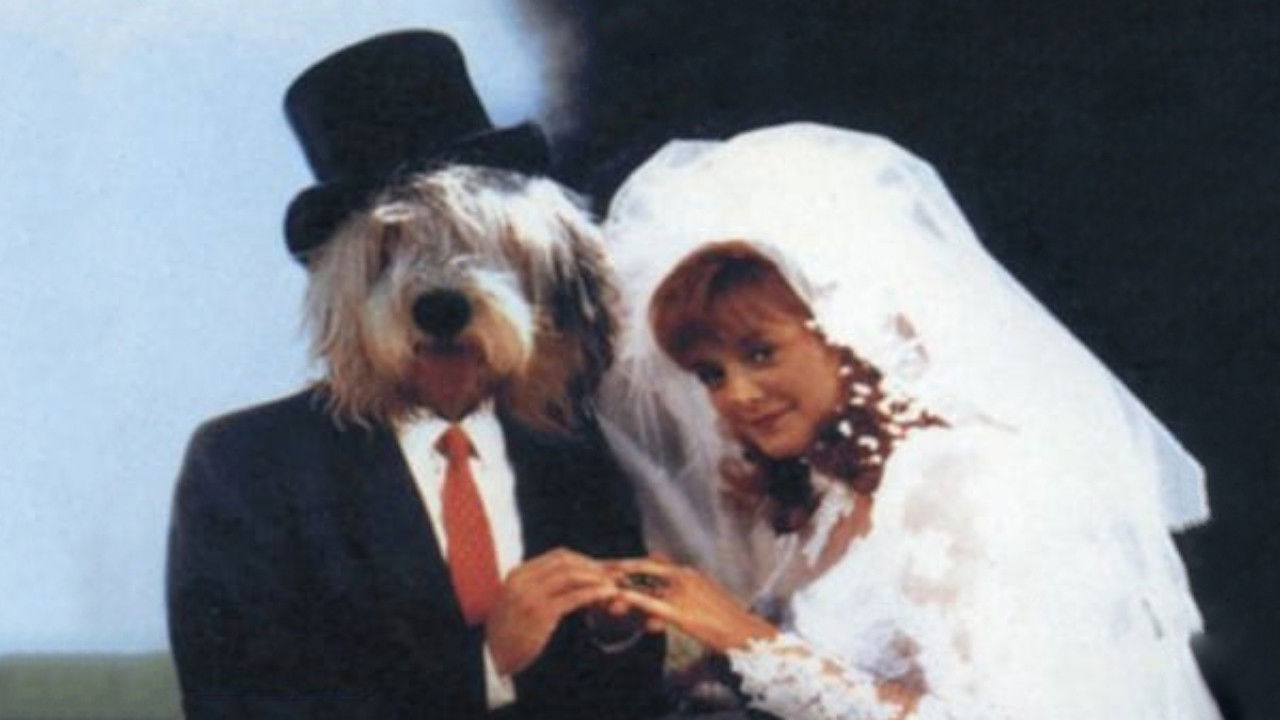 The Return of the Shaggy Dog backdrop