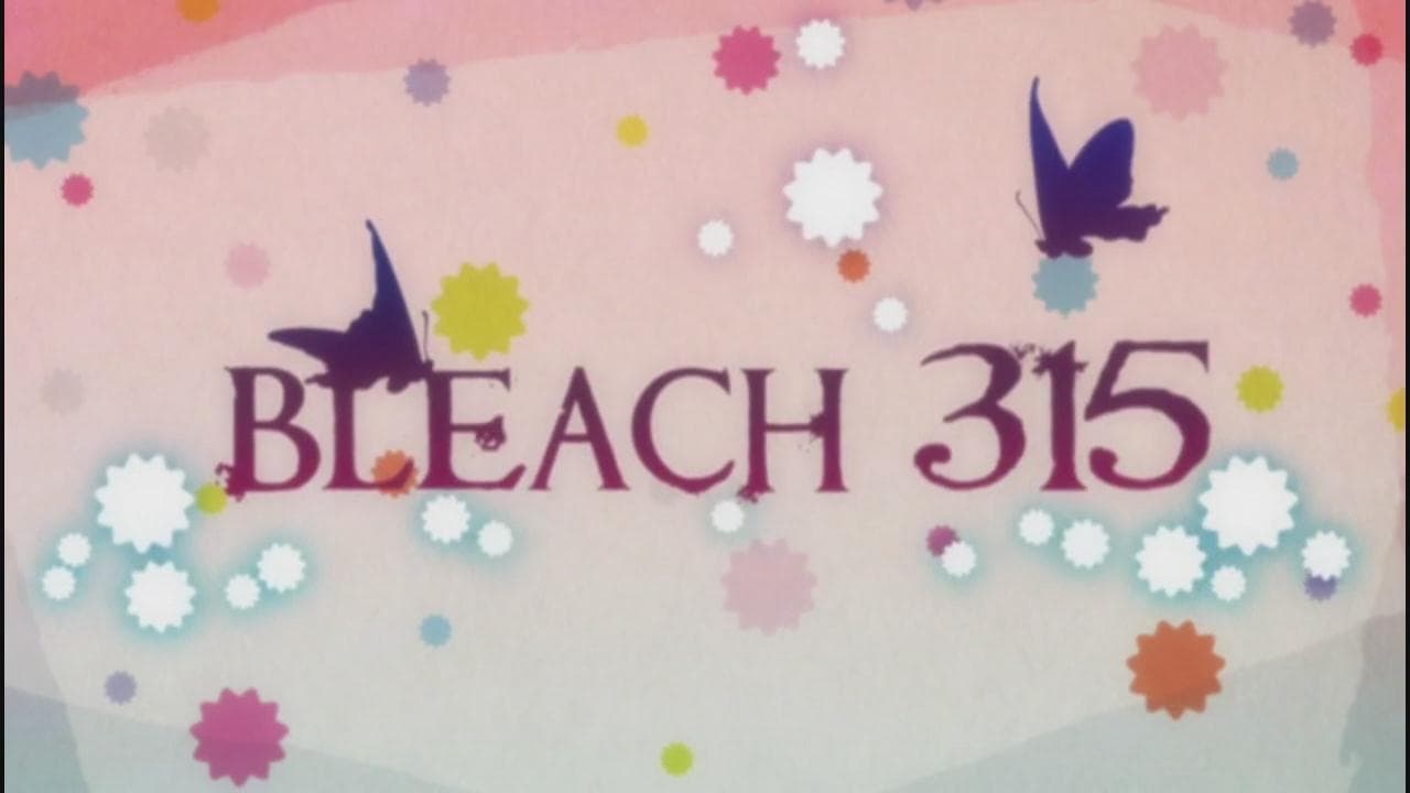 Bleach - Season 1 Episode 315 : Yachiru's Friend! The Shinigami of Justice Appears!
