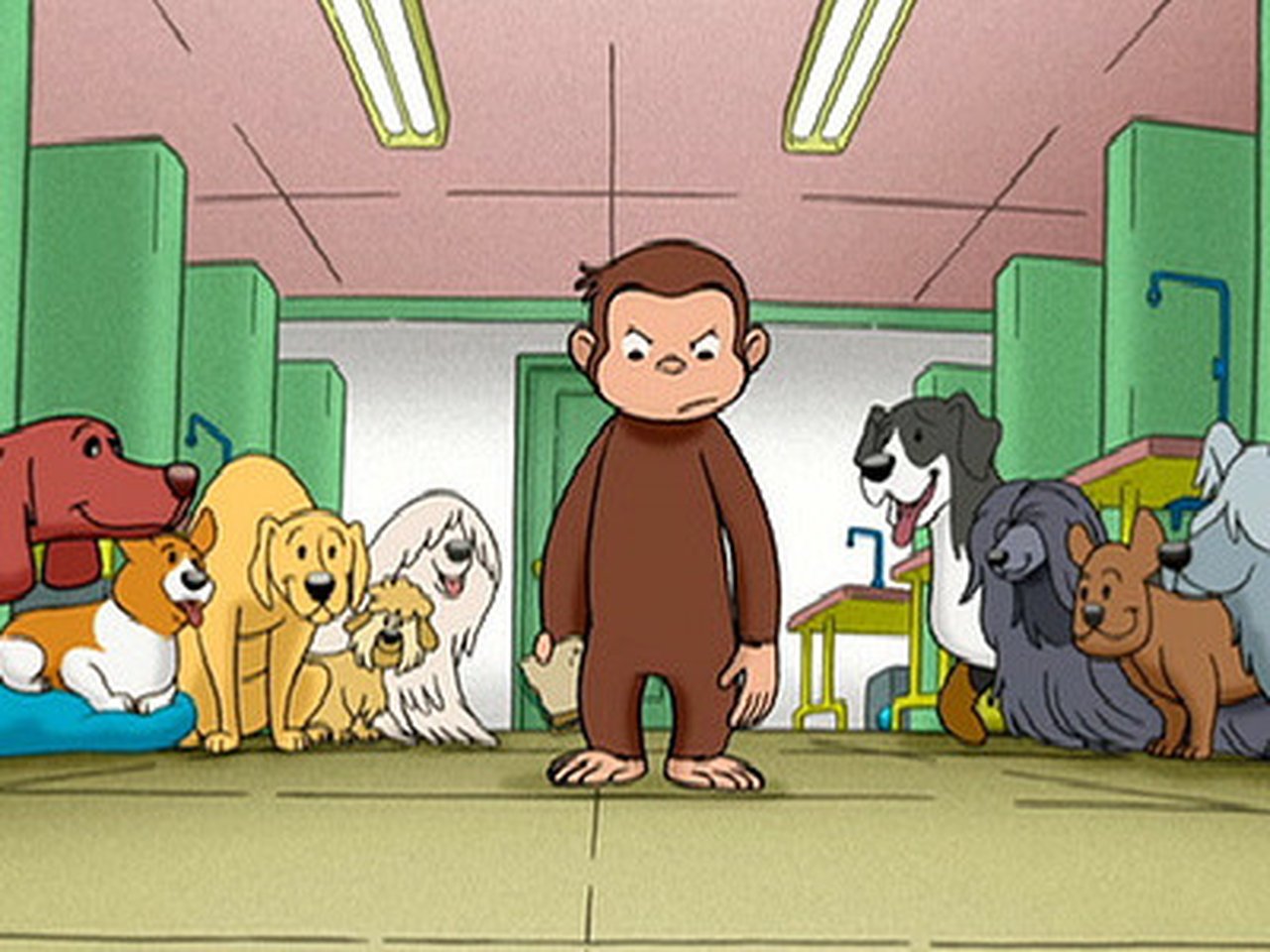 Curious George - Season 1 Episode 17 : Curious George, Dog Counter