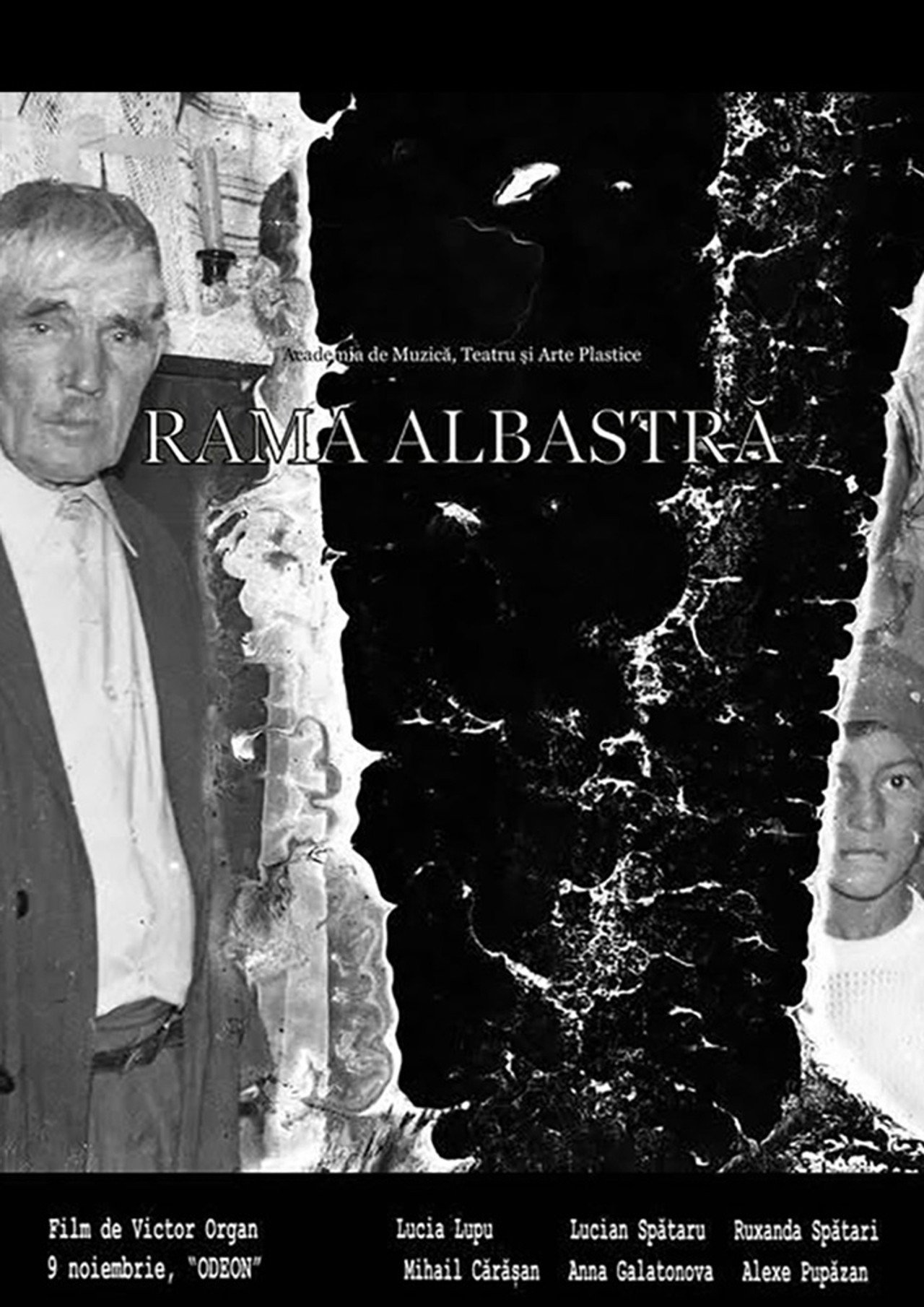 Rama Albastră filmaffisch