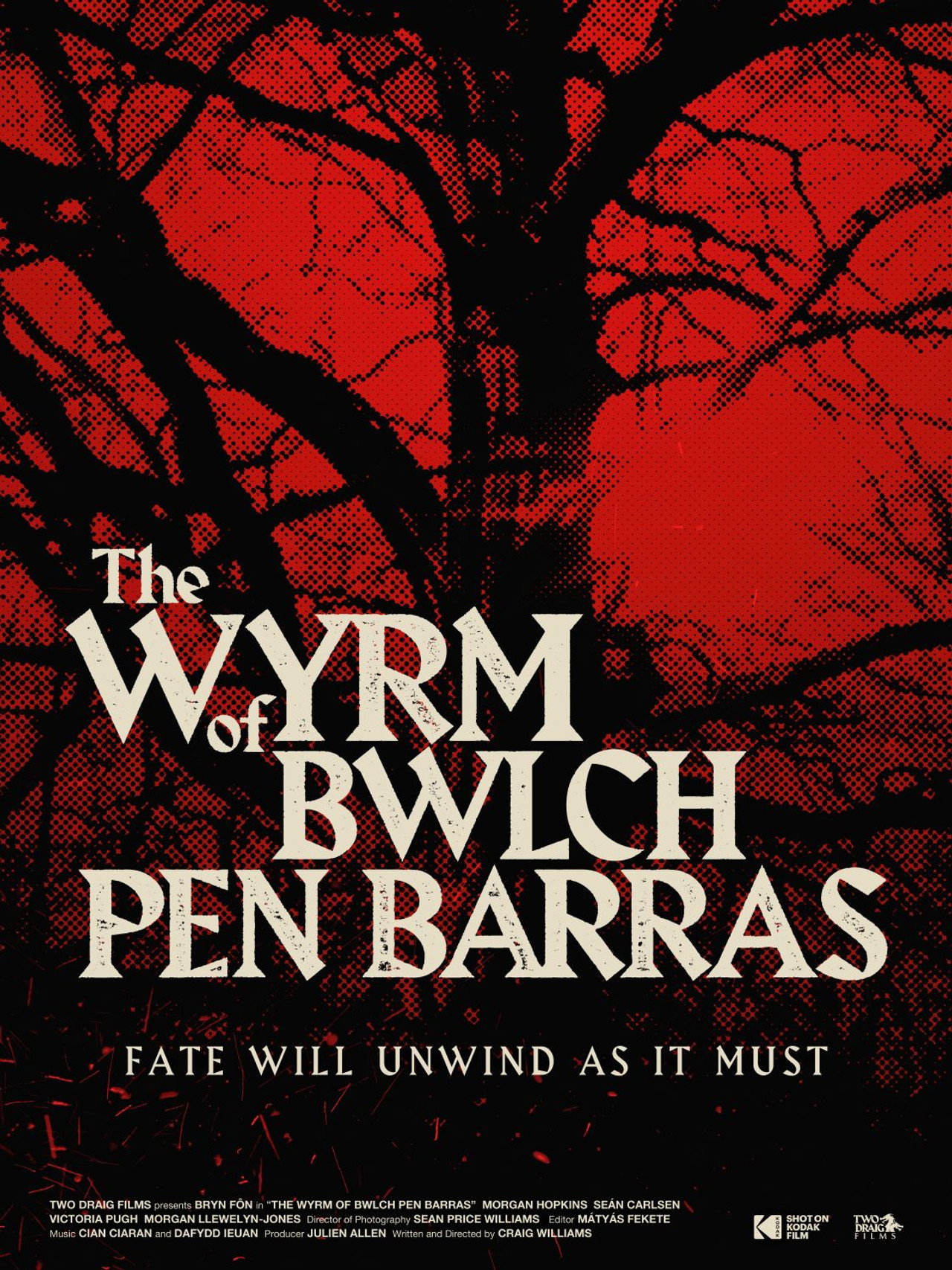 The Wyrm of Bwlch Pen Barras filmaffisch