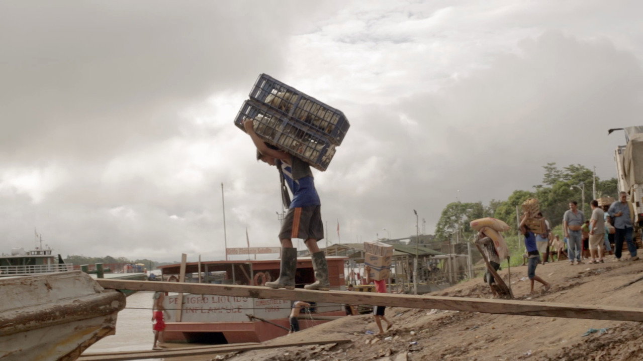Trailer di Veins of the Amazon Immagine di copertina del trailer di Veins of the Amazon